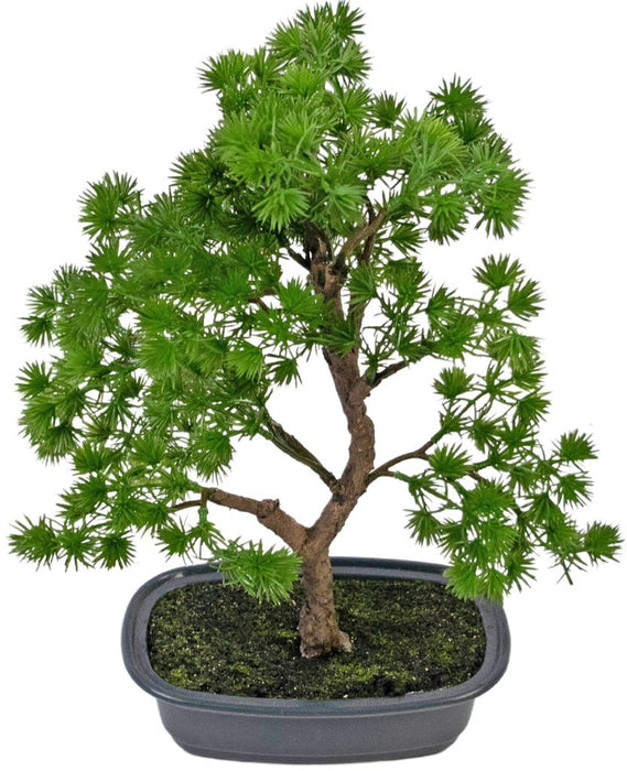 Enebær - Kunstig Bonsai