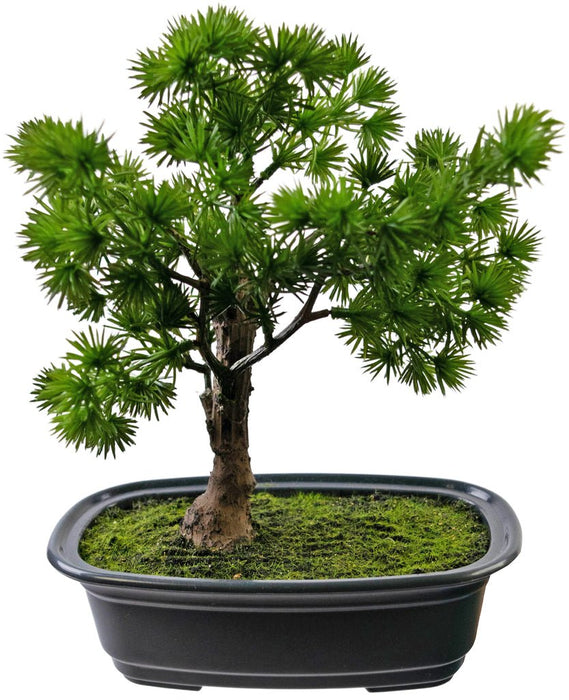 Enebær - Kunstig Bonsai