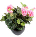 Kunstig Geranium På Pæl 35 Cm Pink