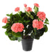 Kunstig Geranium På Pæl 35 Cm Laks