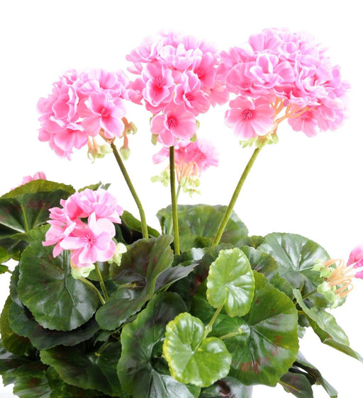 Kunstig Geranium Stake 5 Hoveder 40Cm Pink