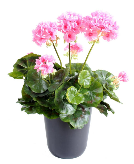 Kunstig Geranium Stake 5 Hoveder 40Cm Pink