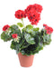 Kunstig Rød Geranium 5 Hoveder 40 Cm Pæl