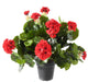 Kunstig Rød Geranium På Pæl 35 Cm