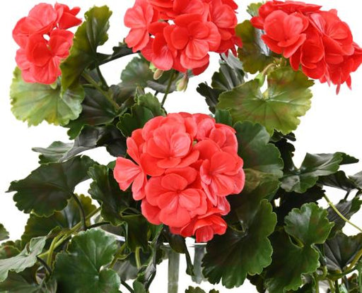 Kunstig Geranium Rød Uv 10 Hoveder 65Cm Til Udendørs