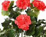 Kunstig Geranium Rød Uv 10 Hoveder 65Cm Til Udendørs