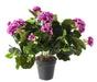 Lilla Kunstig Geranium På Pæl 35 Cm