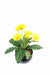 Gul Kunstig Gerbera 25 Cm Blomst På Bål