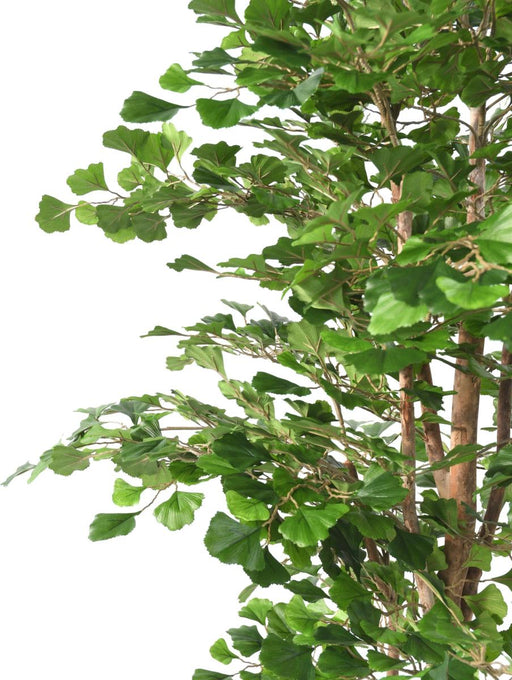 Kunstig Ginkgo Biloba 180 Cm Indendørs Plante