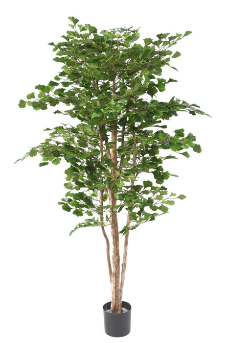 Kunstig Ginkgo Biloba 180 Cm Indendørs Plante