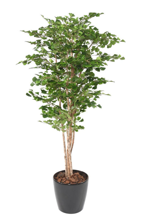 Kunstig Ginkgo Biloba 180 Cm Indendørs Plante