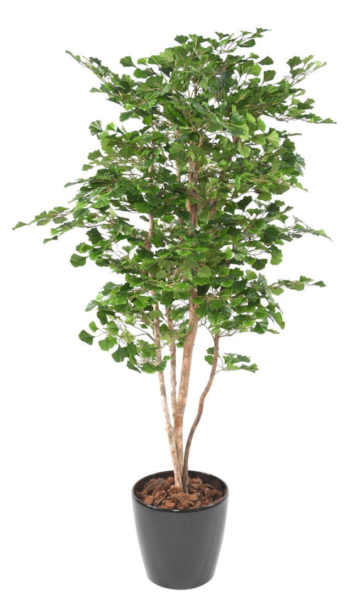 Kunstig Ginkgo Biloba 180 Cm Indendørs Plante