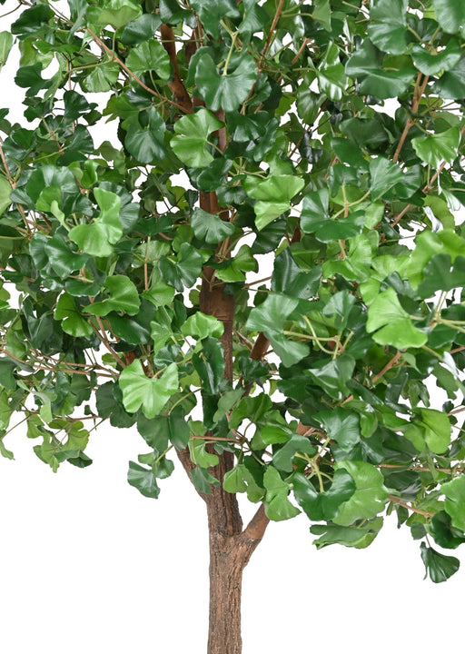 Kunstig Ginkgo Biloba H.290 Cm Indendørs Plante