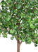 Kunstig Ginkgo Biloba H.290 Cm Indendørs Plante