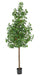 Kunstig Ginkgo Biloba H.290 Cm Indendørs Plante