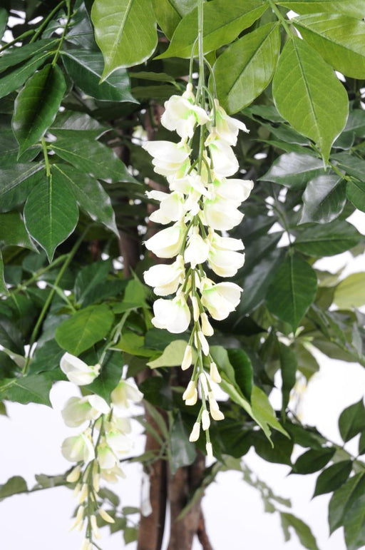 Kunstig Blomstrende Wisteria 110Cm Indendørs Plante