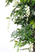 Kunstig Blomstrende Wisteria 110Cm Indendørs Plante