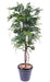 Kunstig Blomstrende Wisteria 110Cm Indendørs Plante
