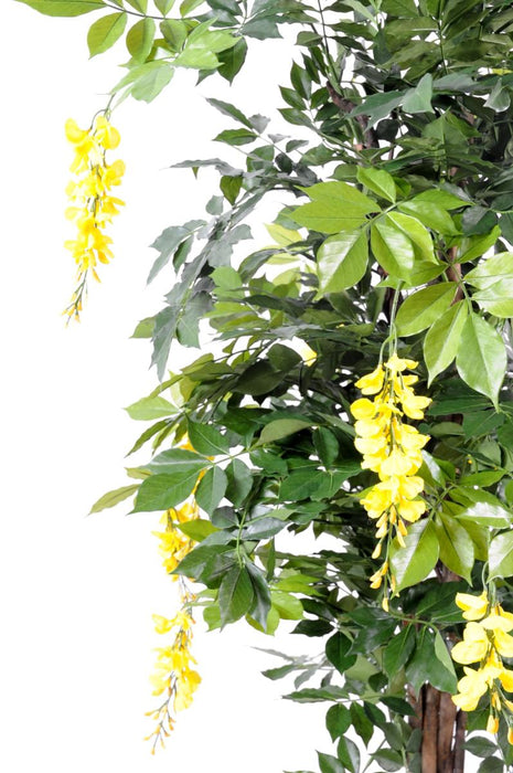 Kunstig Wisteria Gul 110Cm Indendørs Plante