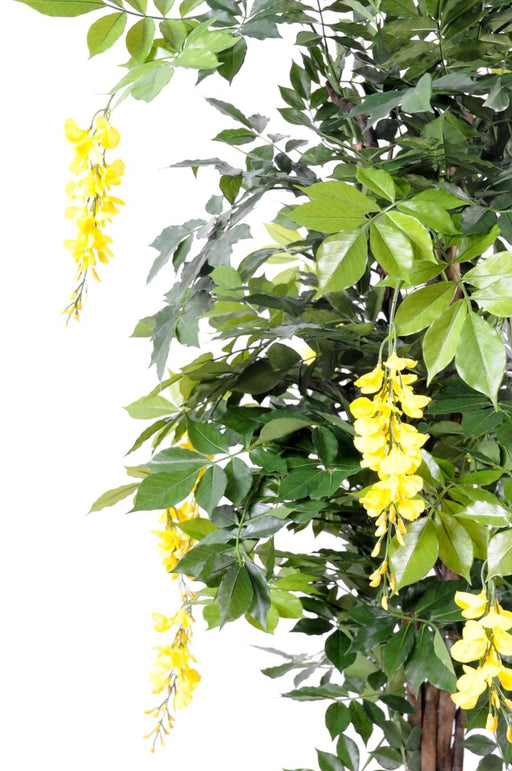 Kunstig Wisteria Gul 110Cm Indendørs Plante