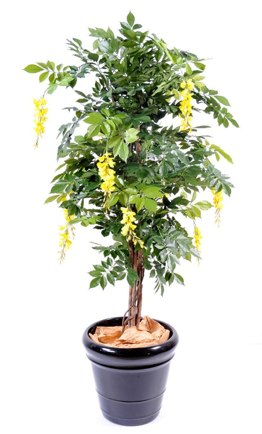 Kunstig Wisteria Gul 110Cm Indendørs Plante
