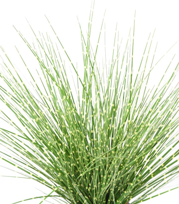 Kunstgræs Miscanthus Zebrinus 45Cm Grøn Gul
