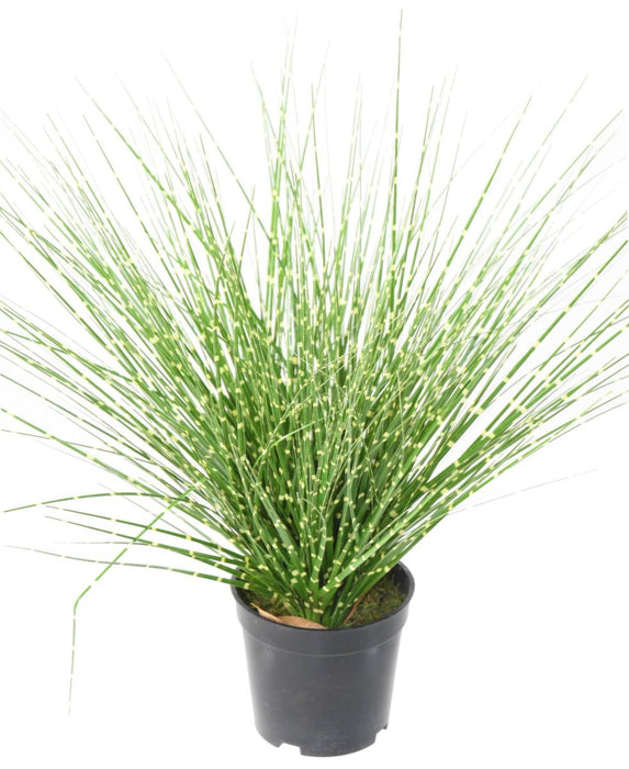 Kunstgræs Miscanthus Zebrinus 45Cm Grøn Gul