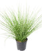 Kunstgræs Miscanthus Zebrinus 45Cm Grøn Gul