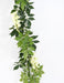 Indendørs Kunstig Wisteria Garland 180 Cm Creme
