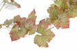 Kunstig Vine Garland Efterår 34 Blade 118Cm