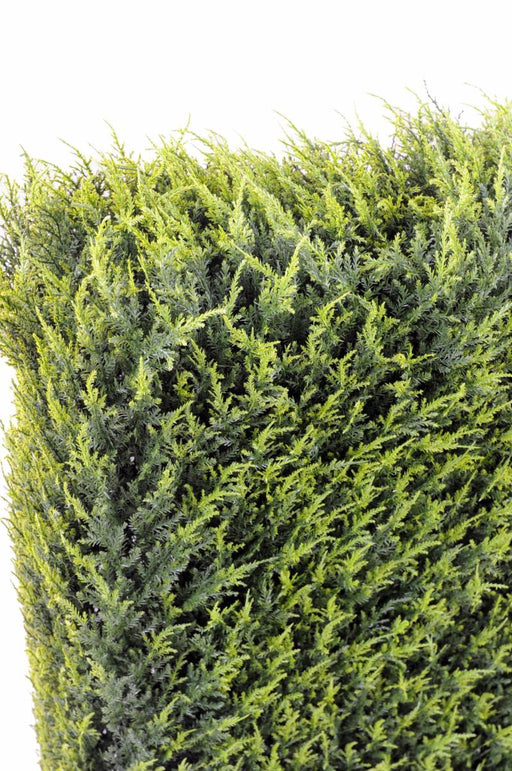 Kunstig Hæk Cypres Juniperus Indendørs Udendørs
