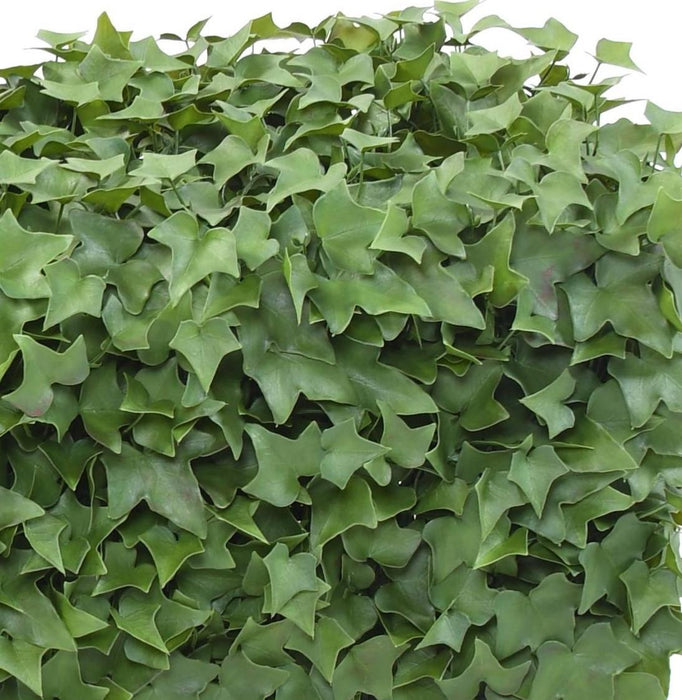 Kunstig Ivy Uv-Hæk 90X32Cm Til Terrasse