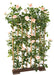 Kunstig Royal Rose Bush Træhæk 160 Cm