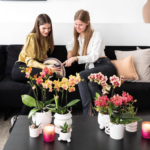 Happy Mug - Hvid Keramisk Plantekasse