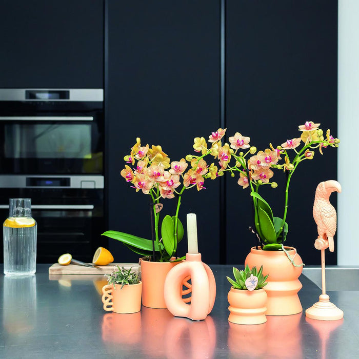 Happy Mug - Peach Keramisk Plantekasse