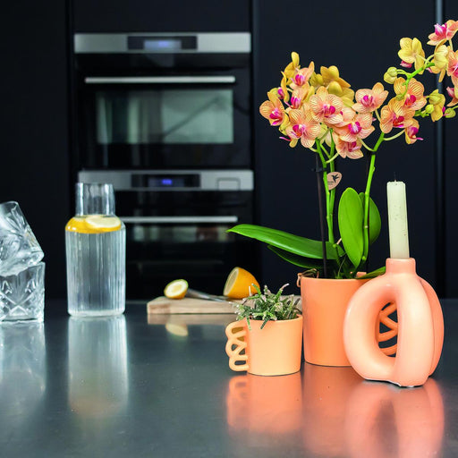 Happy Mug - Peach Keramisk Plantekasse