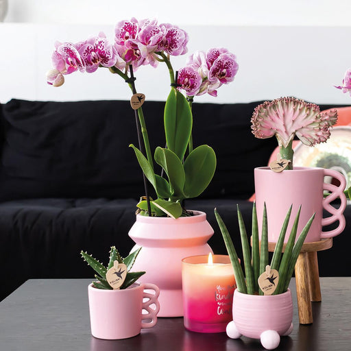 Happy Mug - Pink Keramisk Urtepotte