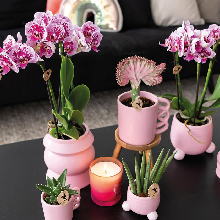 Happy Mug - Pink Keramisk Urtepotte