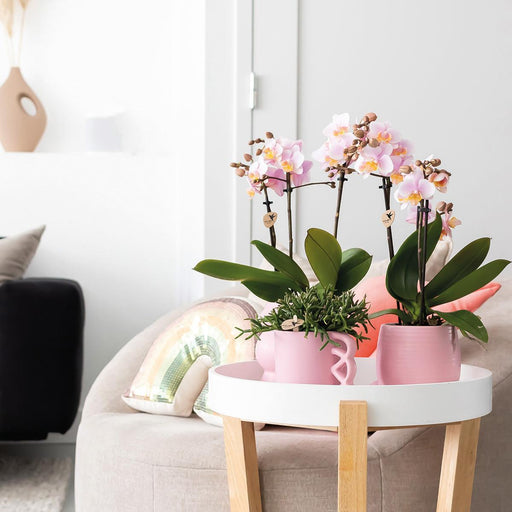 Happy Mug - Pink Keramisk Urtepotte