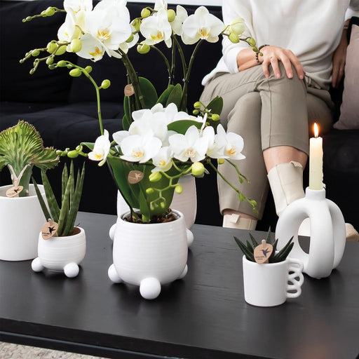 Happy Mug - Hvid Keramisk Gryde