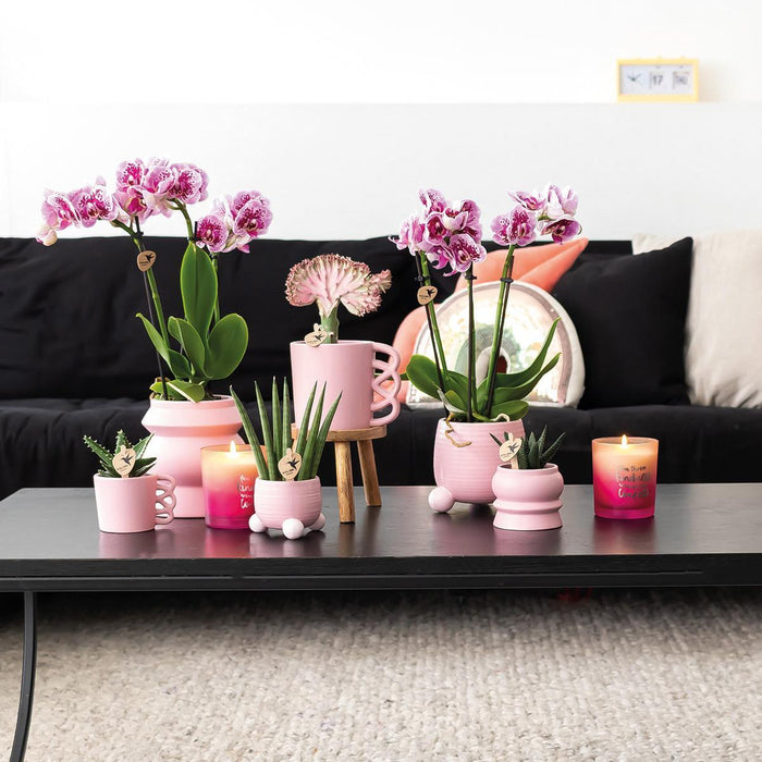 Happy Pink Krus - Keramisk Urtepotte