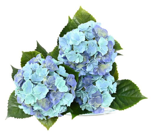 Kunstig Hortensia 3 Hoveder UV-Resistent H.45Cm Blå