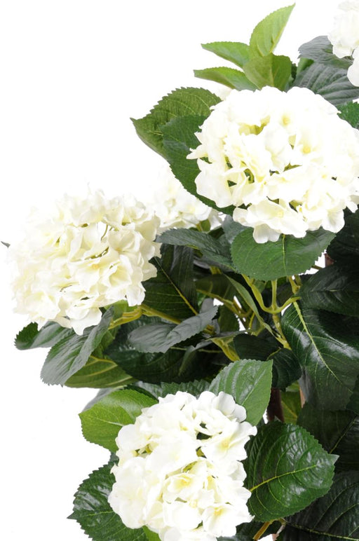 Kunstig Hortensia 80Cm Hvide Blomster Til Indendørs