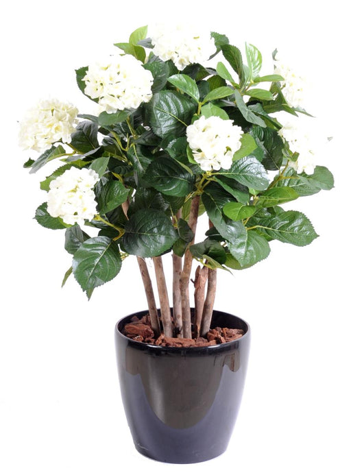 Kunstig Hortensia 80Cm Hvide Blomster Til Indendørs
