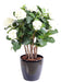 Kunstig Hortensia 80Cm Hvide Blomster Til Indendørs