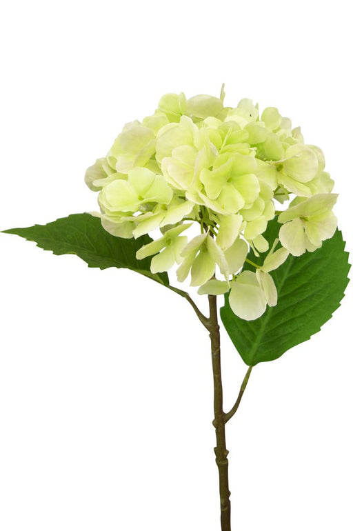 Kunstig Hortensia Deluxe Grøn