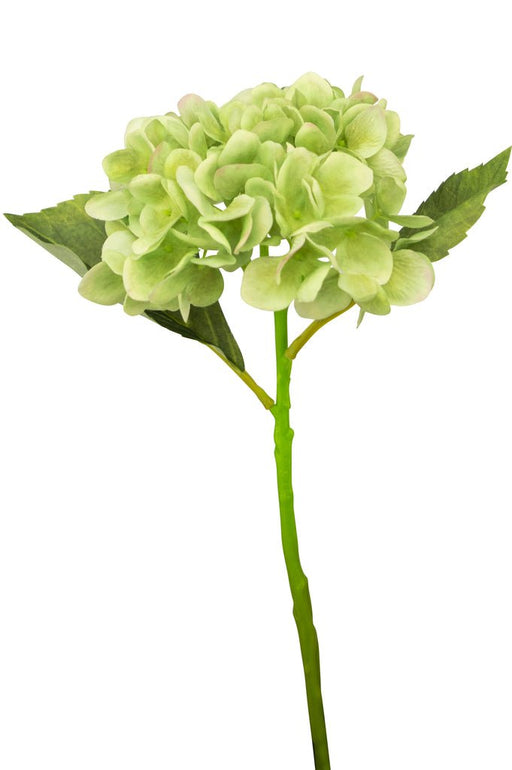 Kunstig Hortensia Deluxe Grøn