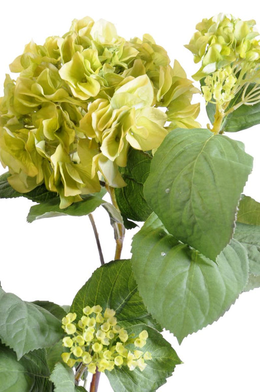 Kunstig Hortensia På Spil Til Indretning
