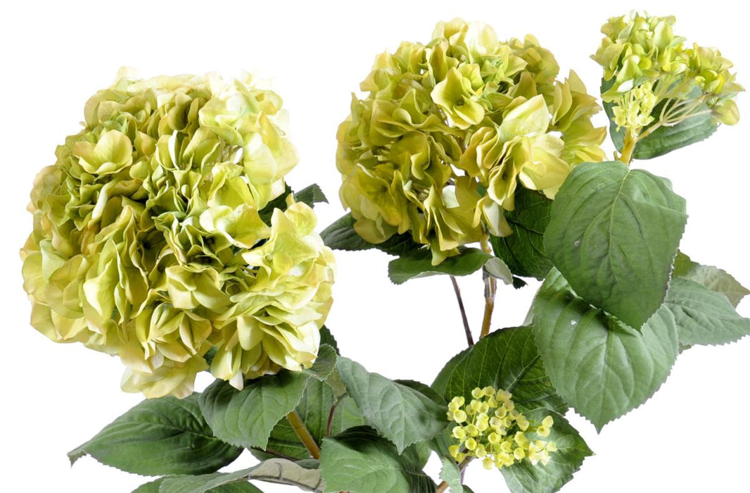 Kunstig Hortensia På Spil Til Indretning