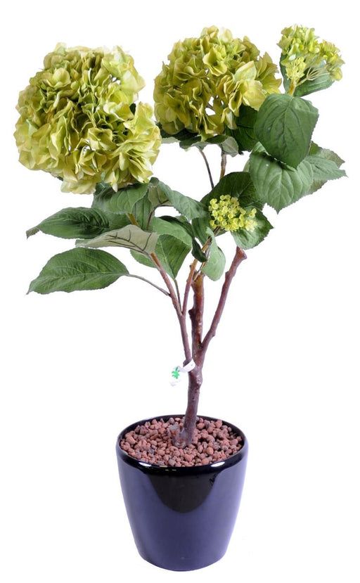 Kunstig Hortensia På Spil Til Indretning